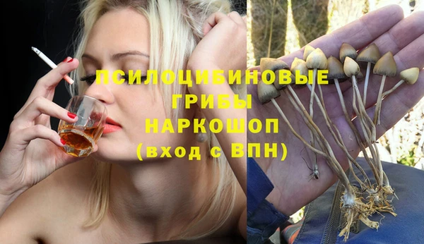 прущий лед Михайловск