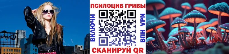 Псилоцибиновые грибы Cubensis  Голицыно 